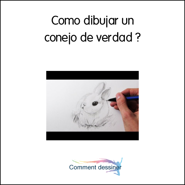 Como dibujar un conejo de verdad